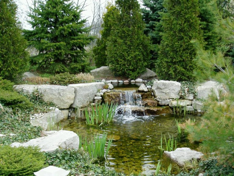 Waterfall and Pond